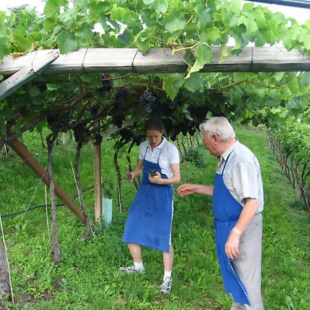 Hotel Steinegger Eppan Appiano Sulla Strada Del Vino